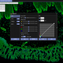 全景组织切片扫描仪软件（仅限图像处理）